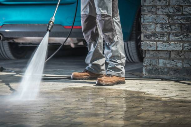  Lo, HI Pressure Washing Pros