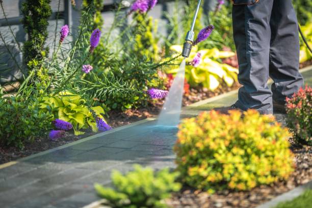 Best Driveway Pressure Washing  in Lo, HI